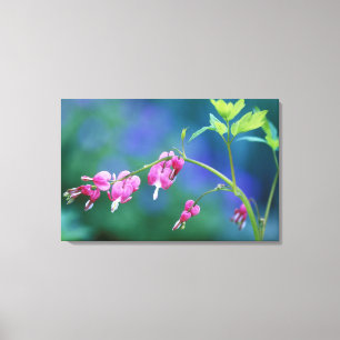 Roze bloemhartjes in de tuin. Met dank aan: Canvas Afdruk