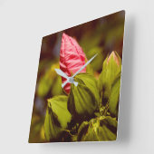 Roze Bloemknop Bloementuin Foto Klok (Hoek)