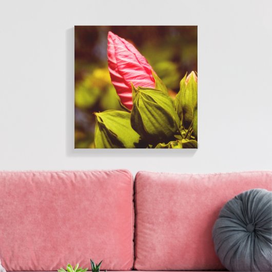 Roze Bloemknop Bloementuin foto single Canvas Afdruk (Insitu (Woonkamer))