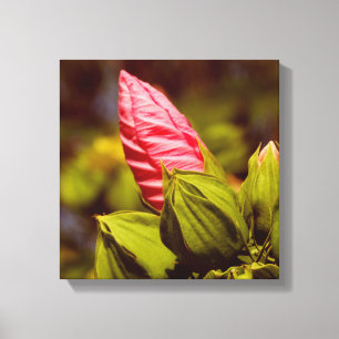 Roze Bloemknop Bloementuin foto single Canvas Afdruk