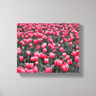 Roze bloemkunst canvas afdruk