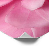 ROZE BLOEMKUNST POSTER (Hoek)