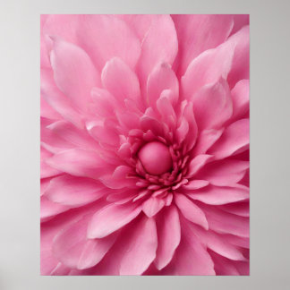 ROZE BLOEMKUNST POSTER