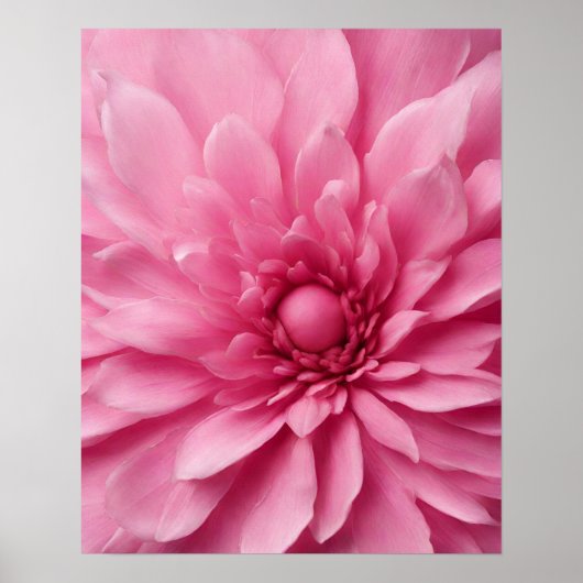 ROZE BLOEMKUNST POSTER (Voorkant)