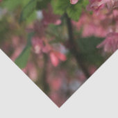 roze bloempapier tissuepapier (Detail)