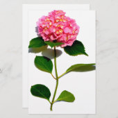 Roze bloemroze bloemroze floraal briefpapier (Voorkant / Achterkant)