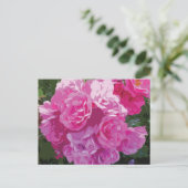 Roze bloemsierkunst briefkaart (Staand voorkant)