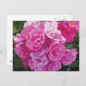 Roze bloemsierkunst briefkaart (Voorkant / Achterkant)