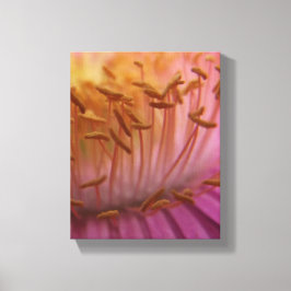 Roze bloescanvas canvas afdruk