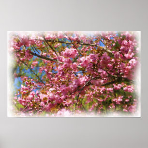 Roze Bloesem Aquarel Foto Schilderij Bloem Poster