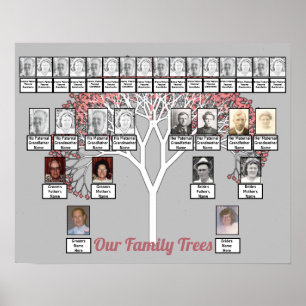 Roze bloesem Fractal Tree Grey Two Family Trees Poster