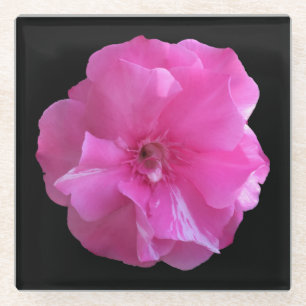 Roze bloesem glazen onderzetter