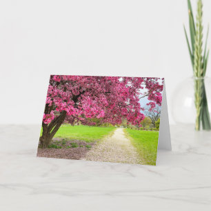 Roze Bloesem Kaart
