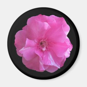 Roze bloesem magneet