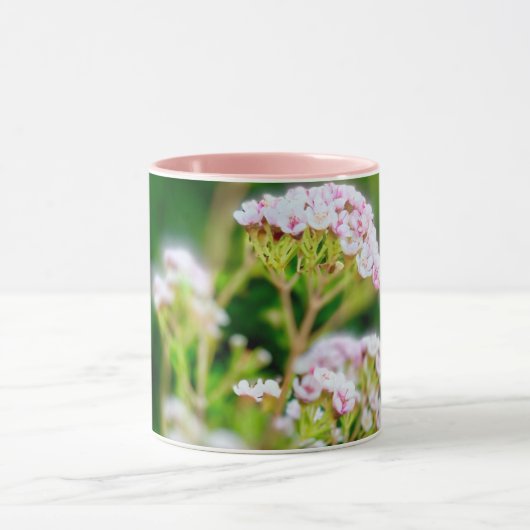 Roze bloesem mok (Midden)