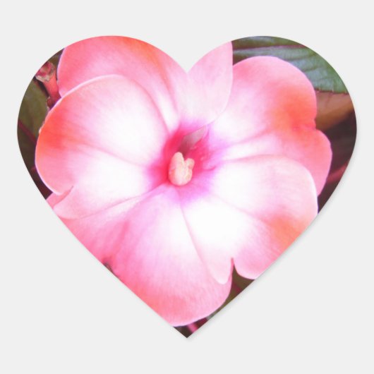 Roze bloesem Stickers (Voorkant)