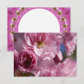 Roze Bloesems (Voorkant / Achterkant)