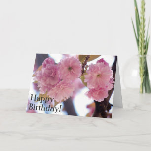 Roze bloesems Birthday Blessings Card Kaart