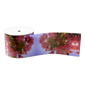 Roze bloesems grosgrain lint (Spoel)