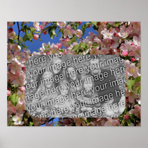 Roze bloesems Lijst Creëer Uw eigen foto Poster