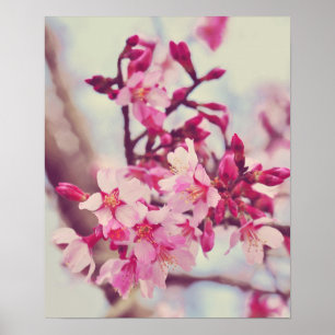  roze Blossom Foto Poster