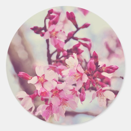  roze Blossom Foto Ronde Sticker (Voorkant)