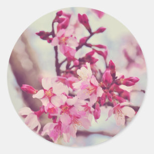  roze Blossom Foto Ronde Sticker