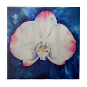 Roze Blush Orchid Tegeltje