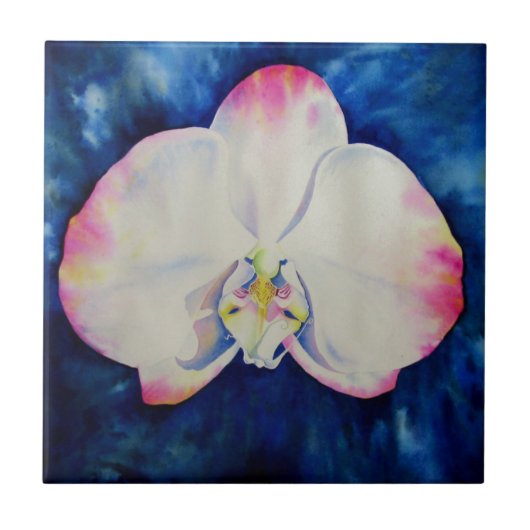 Roze Blush Orchid Tegeltje (Voorkant)