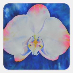 Roze Blush Orchid Vierkante Sticker