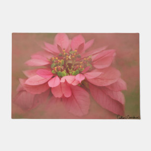 Roze Blush Poinsettia's Digitale Kunst Deurmat