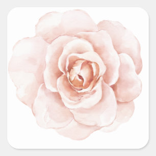 Roze Blush Waterverf Elegant Floral Romantic Vierkante Sticker