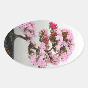 Roze bonsai-stickers ovale sticker