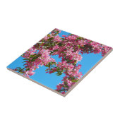 Roze boom bloesem en blauwe lucht tegeltje (Zijkant)