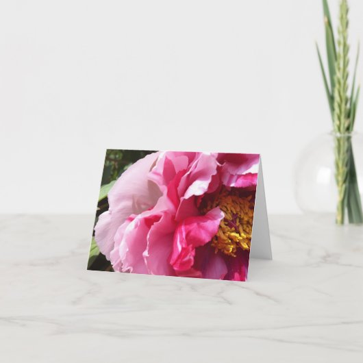 Roze boom Peony Notecard Kaart (Voorkant)