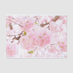 Roze boom Sakura Cherry Blossom Tissuepapier