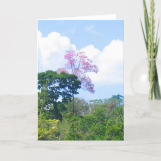 Roze boom Venezolaanse Oerwoud Landschap Kaart