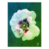 Roze boon met donkere hart - olieverf foto afdruk (Voorkant)