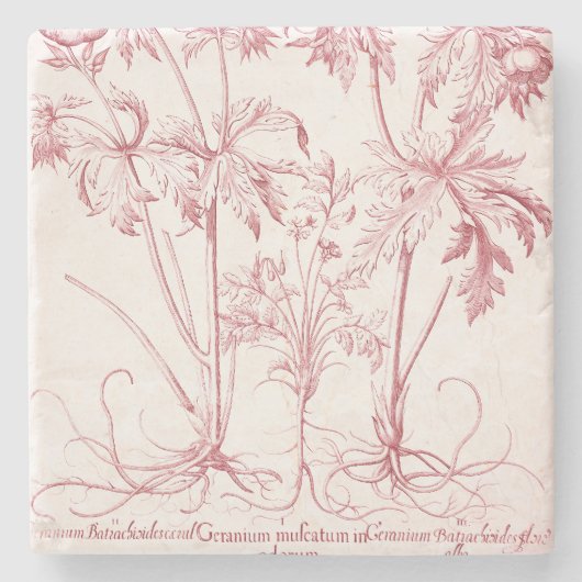 Roze Botanische Kunst Stenen Onderzetter (Voorkant)