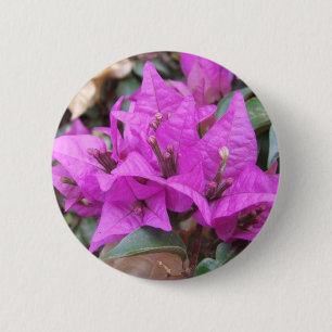 Roze Bougainvillea Flowers Button