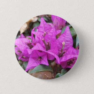 Roze Bougainvillea Flowers Button