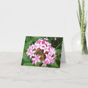 Roze bouquet kaart