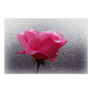 roze boven grijs perfect poster