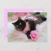 Roze Briefkaart (Voorkant / Achterkant)