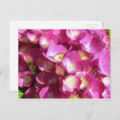 Roze briefkaart (Voorkant / Achterkant)