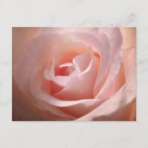 Roze Briefkaart
