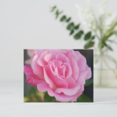 Roze Briefkaart (Staand voorkant)