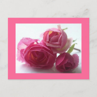 Roze Briefkaart
