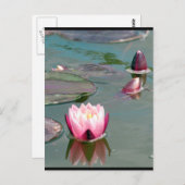 Roze briefkaart (Voorkant / Achterkant)