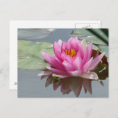 Roze Briefkaart van de Waterlily (Voorkant / Achterkant)